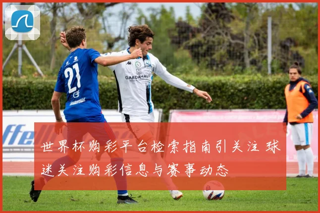 世界杯购彩平台检索指南引关注 球迷关注购彩信息与赛事动态