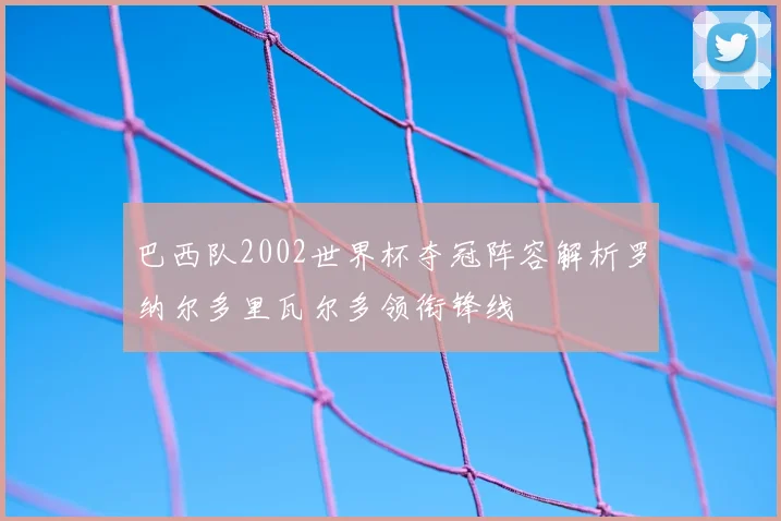 巴西队2002世界杯夺冠阵容解析罗纳尔多里瓦尔多领衔锋线