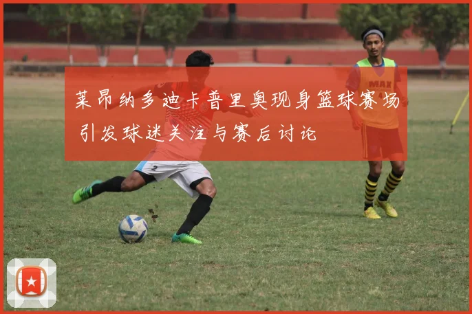 莱昂纳多迪卡普里奥现身篮球赛场 引发球迷关注与赛后讨论