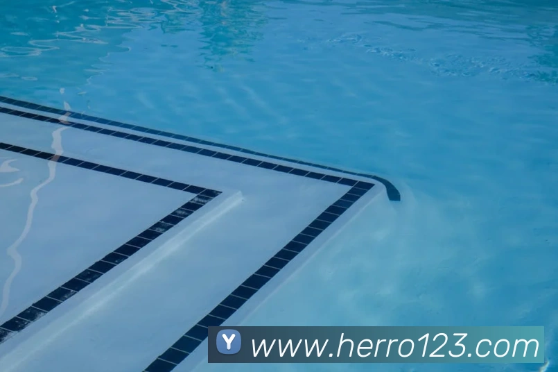 三亿体育官网登录入口APP 封面图